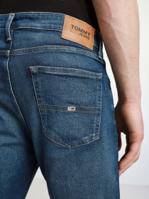 Джинси Tommy Hilfiger Модель DM0DM09876-1BK Фото