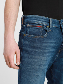 Джинси Tommy Hilfiger Модель DM0DM09876-1BK Фото