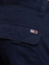 Шорты Tommy Hilfiger модель DM0DM11078-C87 Фото