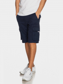 Шорты Tommy Hilfiger модель DM0DM11078-C87 Фото