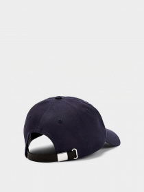 Кепка Tommy Hilfiger модель AM0AM07168-C87 Фото