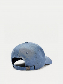 Кепка Tommy Hilfiger ESTABLISHED модель AM0AM07352-DY8 Фото