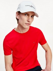 Кепка Tommy Hilfiger ESTABLISHED модель AM0AM07352-YCF Фото