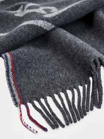 Шарф Tommy Hilfiger модель AM0AM07890-PA7 Фото