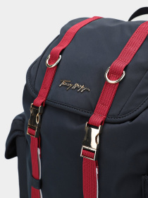Рюкзаки Tommy Hilfiger модель AW0AW10763-DW5 Фото