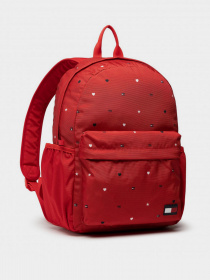 Рюкзаки Tommy Hilfiger модель AU0AU01058-XLG Фото