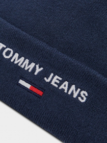 Шапка Tommy Hilfiger модель AM0AM07678-C87 Фото