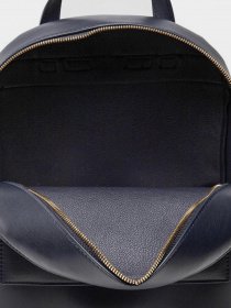 Рюкзаки Tommy Hilfiger модель AW0AW11074-DW5 Фото