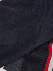 Шарф Tommy Hilfiger модель AW0AW11007-DW5 Фото