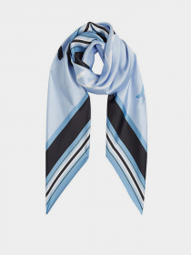 Шарф Tommy Hilfiger модель AW0AW11009-C1O Фото