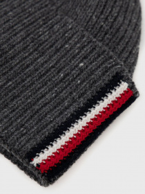 Шапка Tommy Hilfiger Модель AM0AM10350-PSM Фото