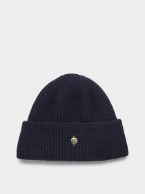 Шапка Tommy Hilfiger модель AW0AW13820-DW6 Фото