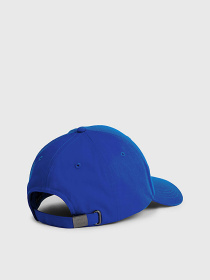 Кепка Tommy Hilfiger Flag модель AM0AM11242-C66 Фото