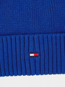 Шапка Tommy Hilfiger модель AM0AM11693-C66 Фото