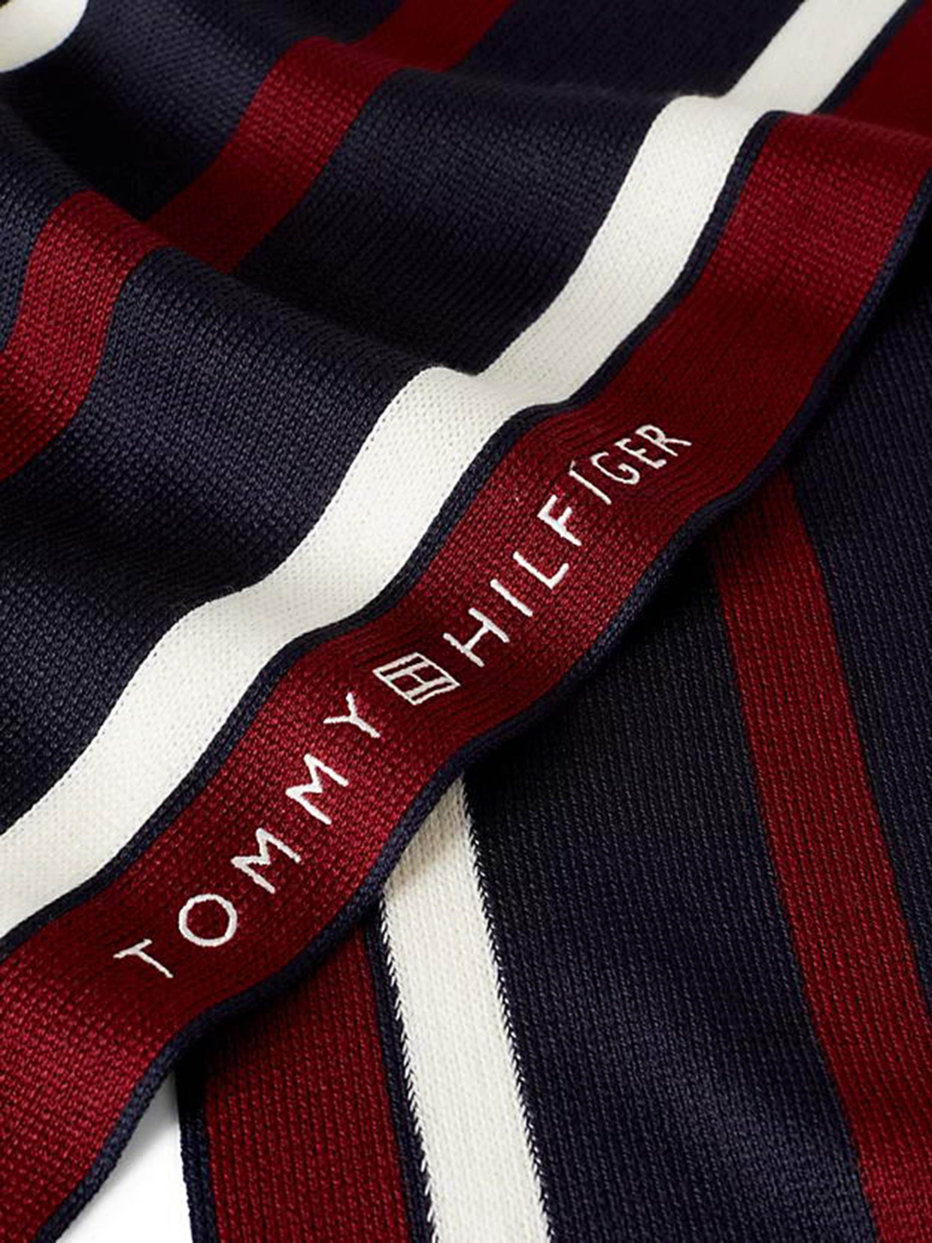 Шарф Tommy Hilfiger Corporate Raschelle модель AM0AM11493-DW6 Фото