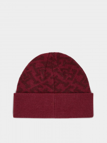 Шапка Tommy Hilfiger модель AW0AW15327-XJS Фото