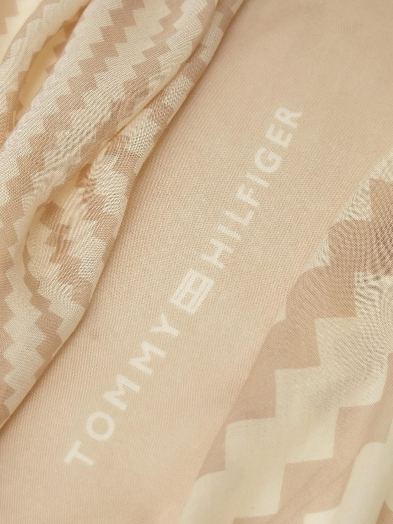 Шарф Tommy Hilfiger модель AW0AW15787-AES Фото