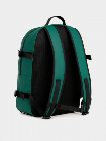 Повсякденний рюкзак Tommy Hilfiger Tjm Daily + Sternum модель AM0AM11961-L4L Фото