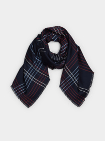 Шарф Tommy Hilfiger модель AW0AW16368-DW6 Фото