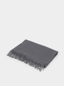 Шарф Tommy Hilfiger модель AM0AM12841-PSM Фото