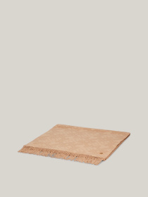 Шарф Tommy Hilfiger модель AW0AW16650-AEH Фото