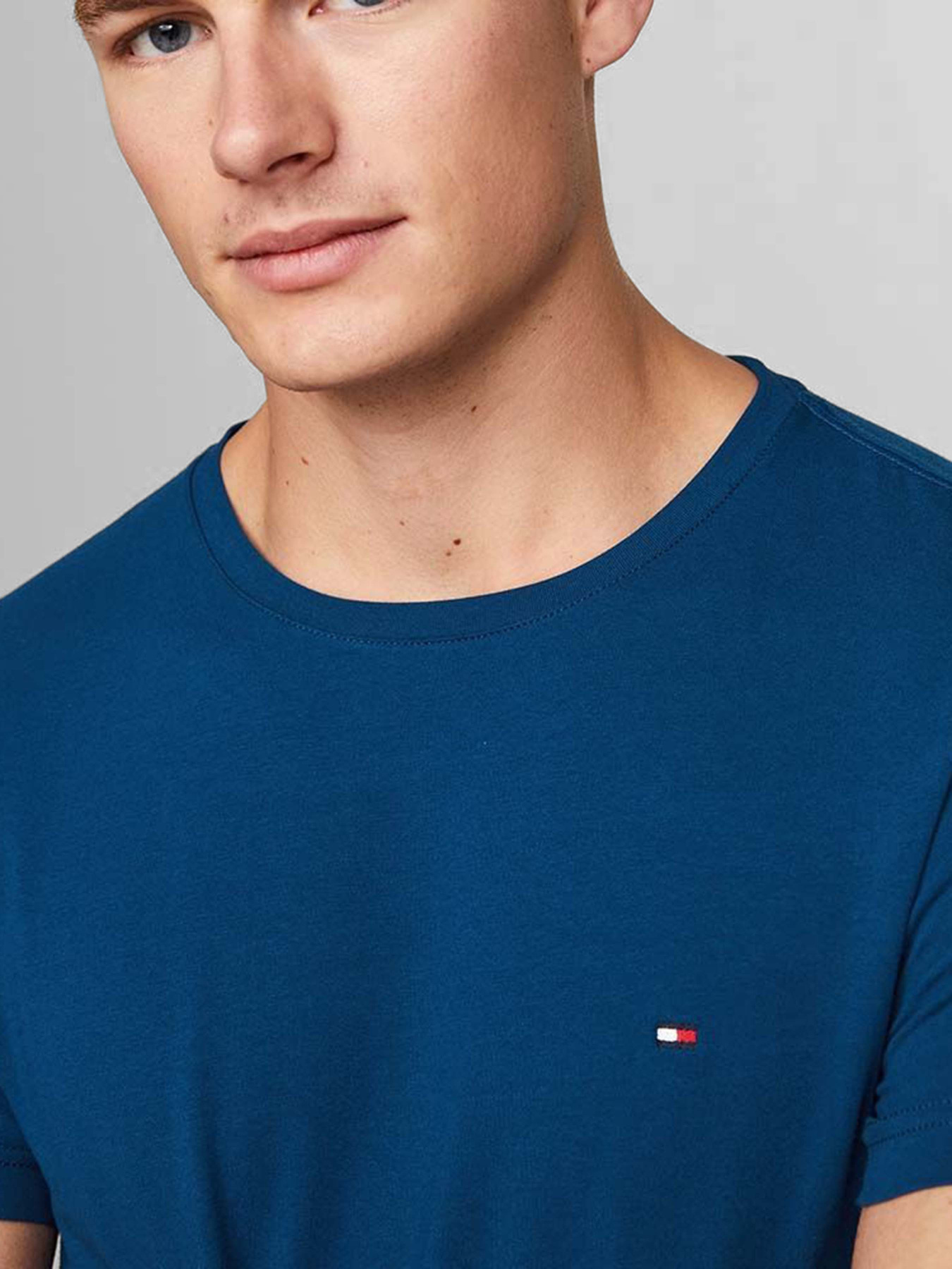 Футболка Tommy Hilfiger модель MW0MW10800-C5J Фото