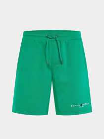 Шорты Tommy Hilfiger модель MW0MW34201-L4B Фото