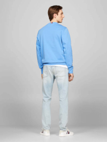 Свитшот Tommy Hilfiger модель MW0MW34400-C30 Фото