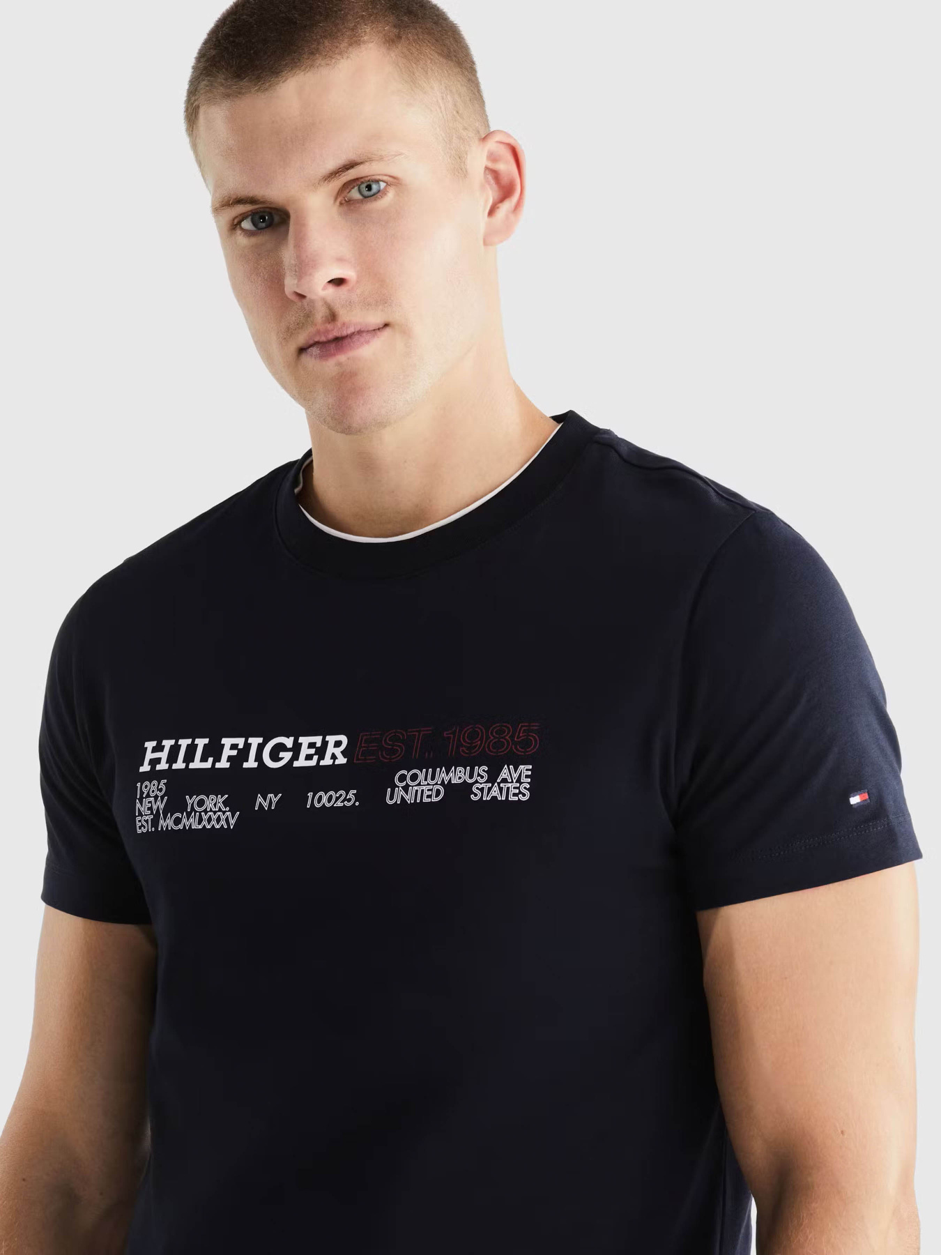 Футболка Tommy Hilfiger модель MW0MW34435-DW5 Фото
