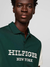 Поло Tommy Hilfiger модель MW0MW34751-AEF Фото