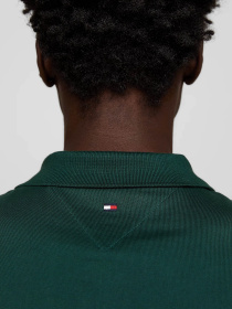 Поло Tommy Hilfiger модель MW0MW34751-AEF Фото