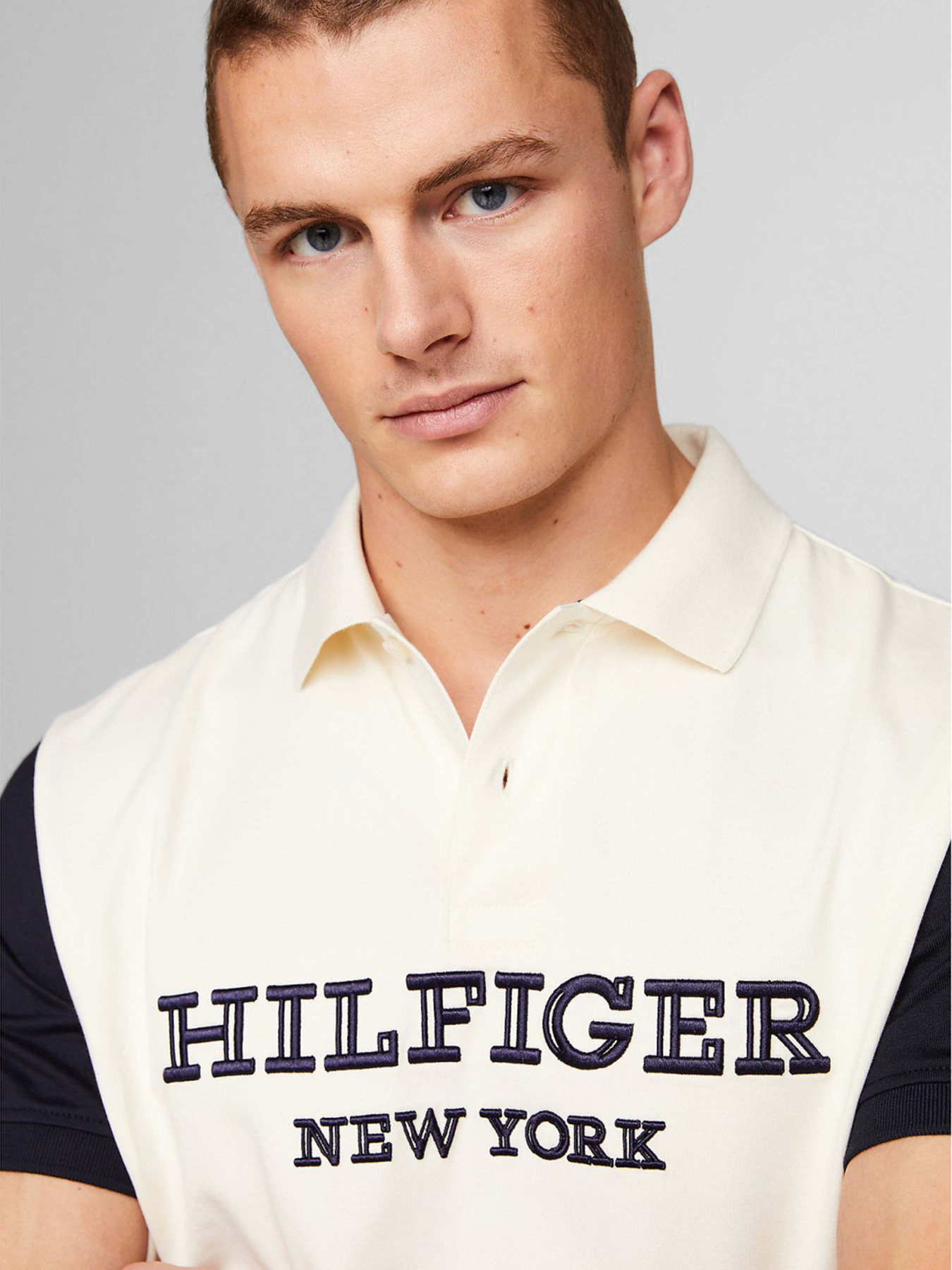 Поло Tommy Hilfiger модель MW0MW34751-DW5 Фото