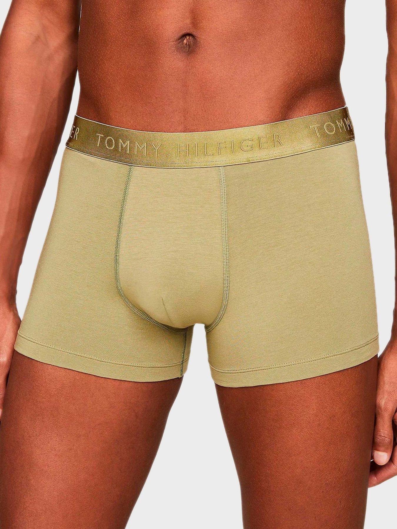 Набор трусов Tommy Hilfiger модель UM0UM02760-0Y3 Фото