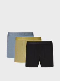 Набор трусов Tommy Hilfiger модель UM0UM02760-0Y3 Фото