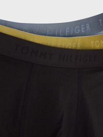 Набор трусов Tommy Hilfiger модель UM0UM02760-0Y3 Фото