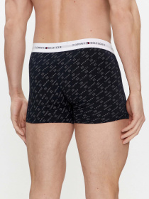 Набір трусів Tommy Hilfiger модель UM0UM02768-0Y1 Фото
