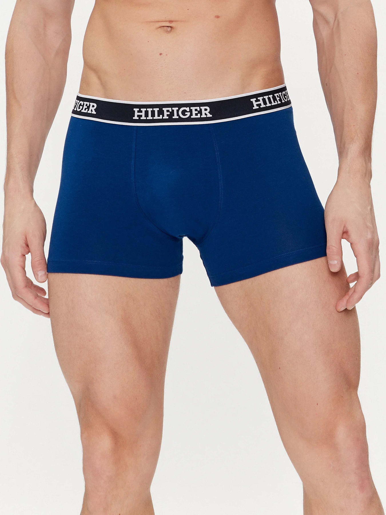 Набор трусов Tommy Hilfiger модель UM0UM03185-0YZ Фото