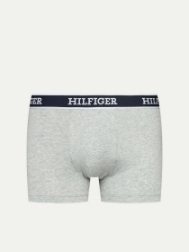 Набор трусов Tommy Hilfiger модель UM0UM03185-0YZ Фото