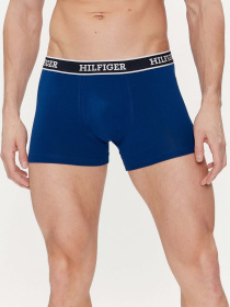 Труси Tommy Hilfiger модель UM0UM03185-0YZ Фото