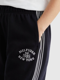 Штаны спортивные Tommy Hilfiger модель WW0WW42061-DW5 Фото