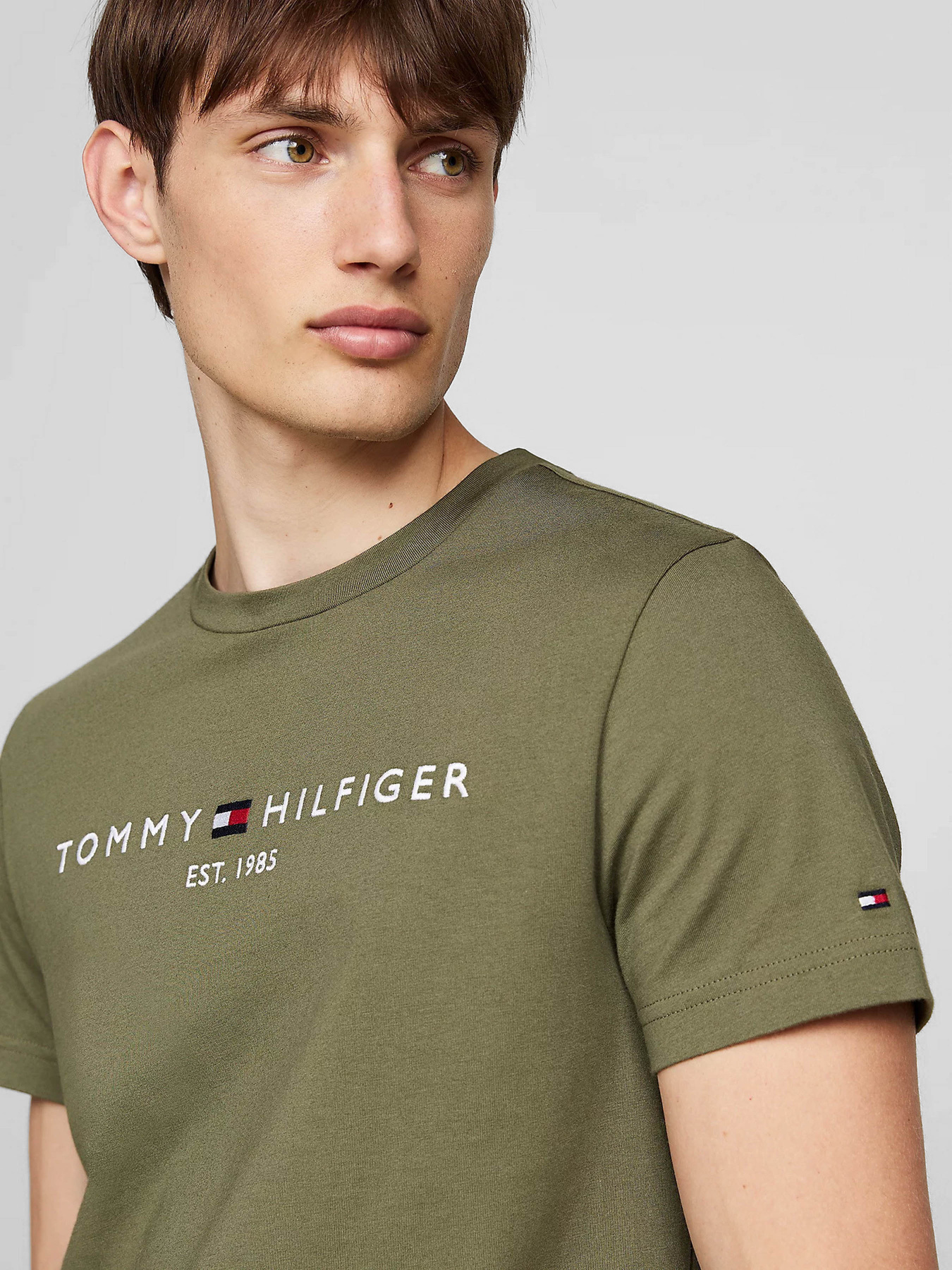 Футболка Tommy Hilfiger модель MW0MW11797-PLI Фото