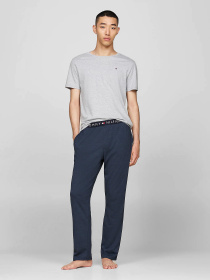 Набор футболок Tommy Hilfiger модель UM0UM03379-05F Фото