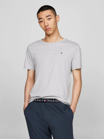 Набор футболок Tommy Hilfiger модель UM0UM03379-05F Набор футболок Tommy Hilfiger модель UM0UM03379-05F Фото