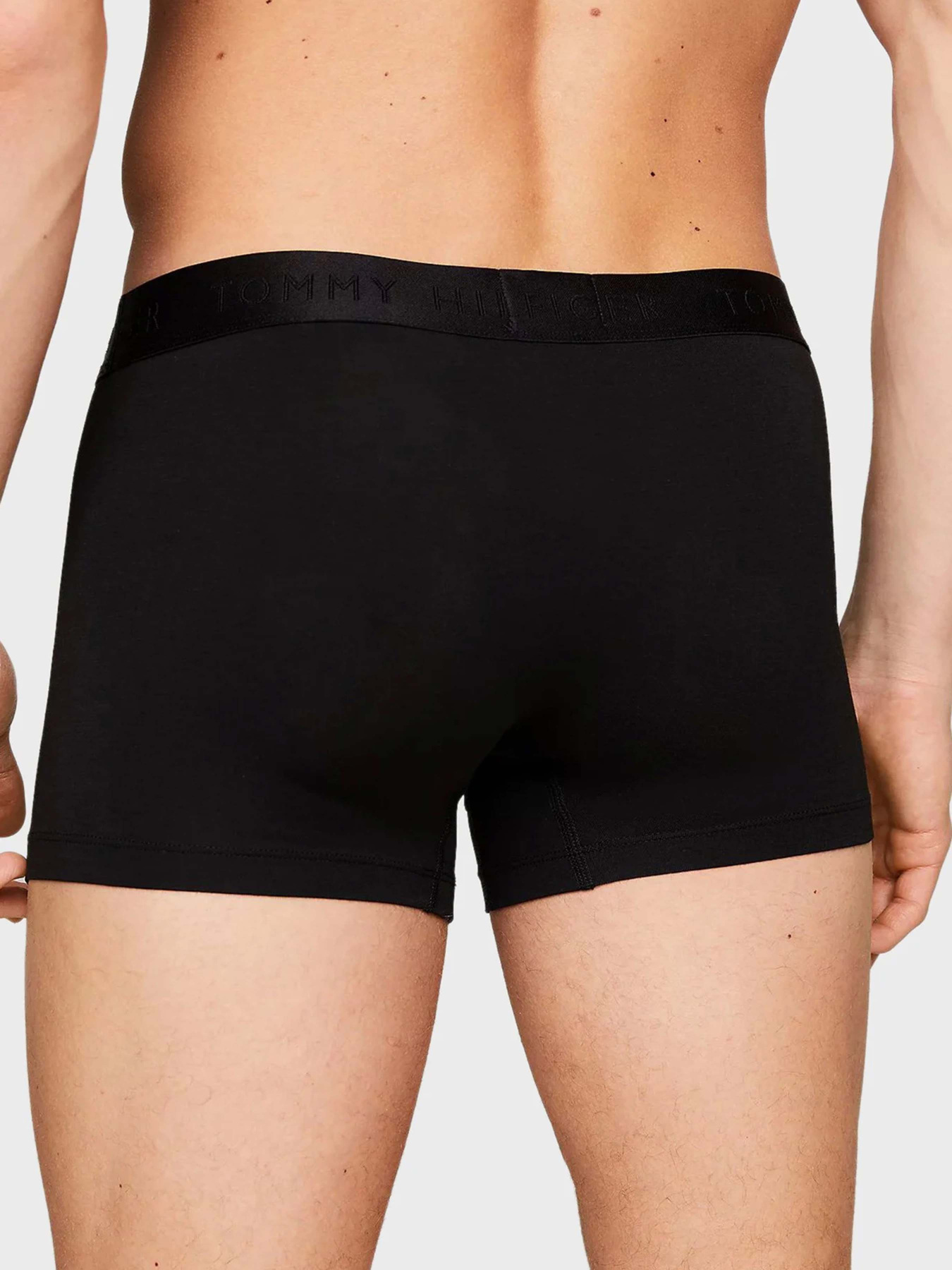 Набір трусів Tommy Hilfiger модель UM0UM02760-0R7 Фото
