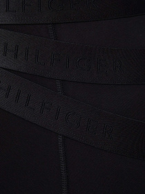 Набір трусів Tommy Hilfiger модель UM0UM02760-0R7 Фото