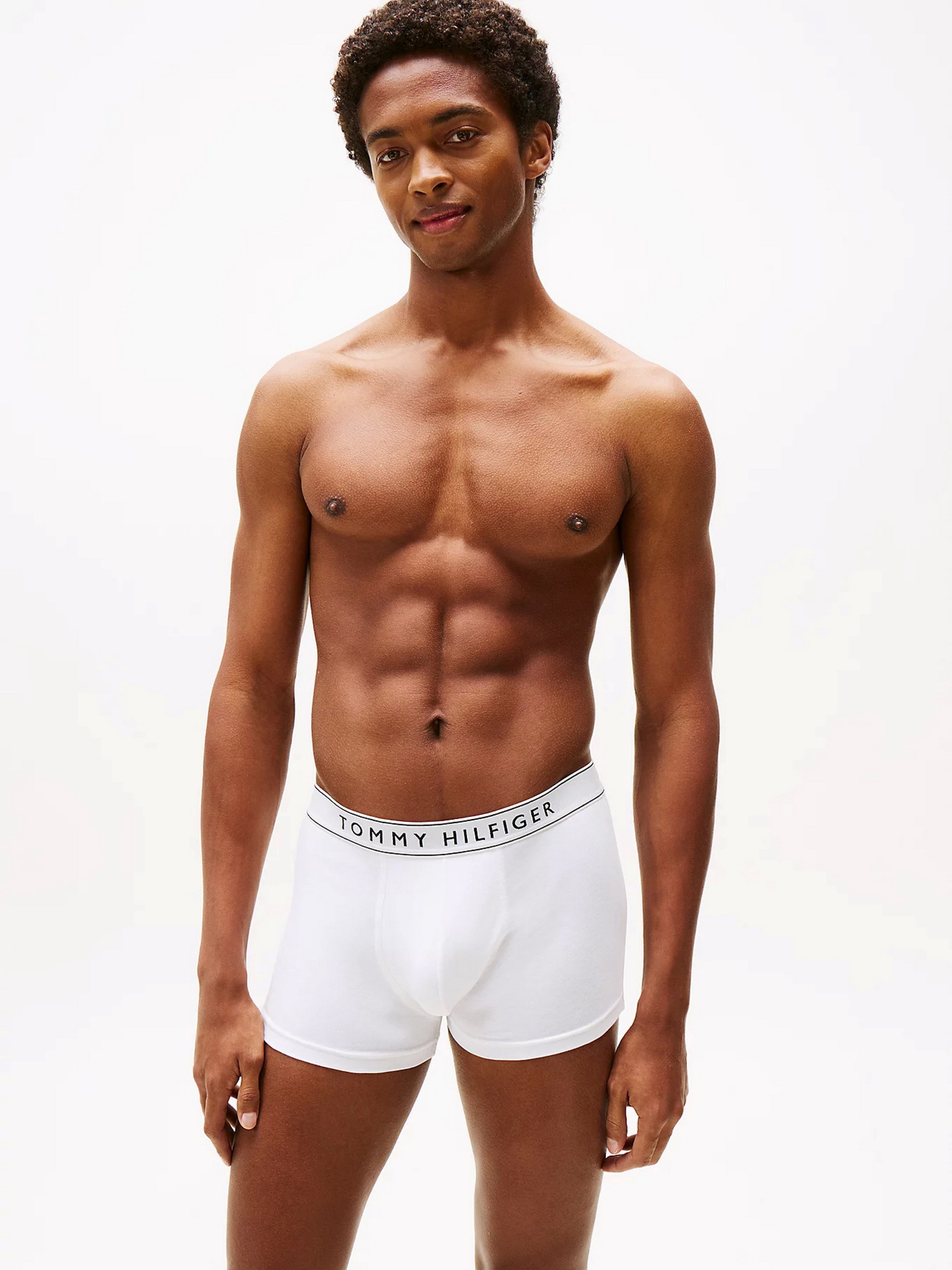 Набір трусів Tommy Hilfiger модель UM0UM03520-0WF Фото
