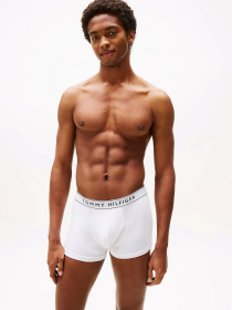 Набір трусів Tommy Hilfiger модель UM0UM03520-0WF Фото