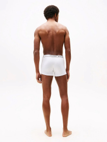 Набір трусів Tommy Hilfiger модель UM0UM03520-0WF Фото