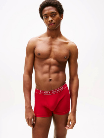 Набір трусів Tommy Hilfiger модель UM0UM03520-0WF Фото