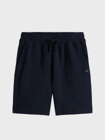 Повседневные шорты Tommy Hilfiger модель MW0MW37240-DW5 Фото